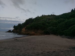 Waihii beach - Orokawa Bay Track 25