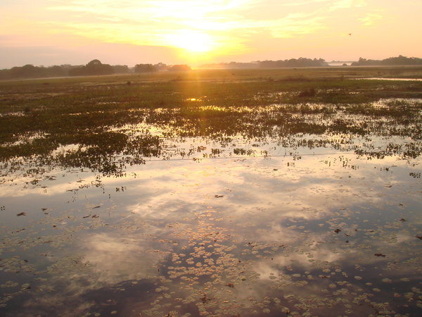 Sunrise over the Pantanal