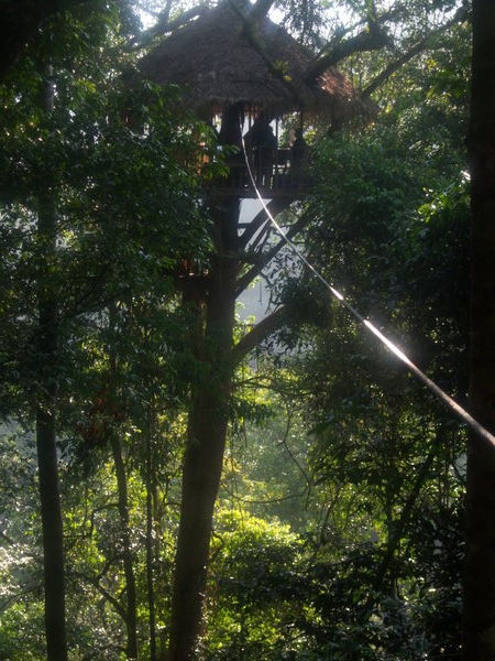 Our Tree House at The Gibbon Experience