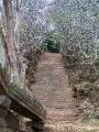 The steps to Wat Phou (Champasak)