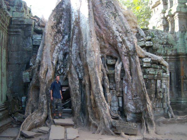 Andy sizes up a tree - Ta Prohm