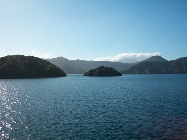 View from the ferry to Wellington