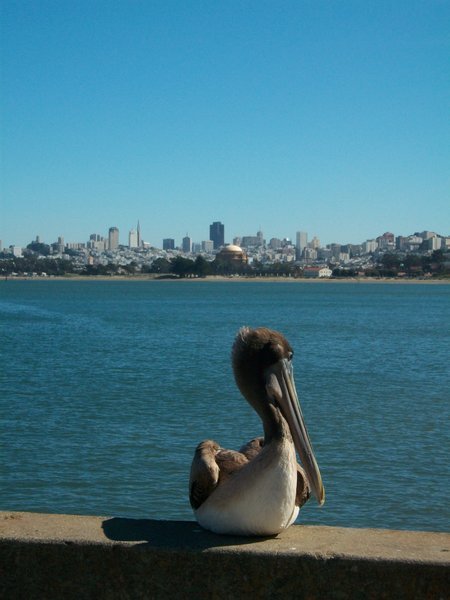Local resident and San Fran