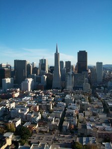 View of San Fran from Coit Tower