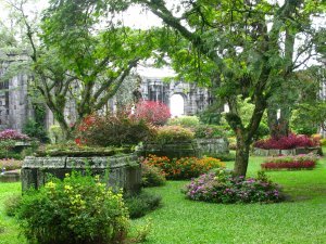 Garden in Cartago