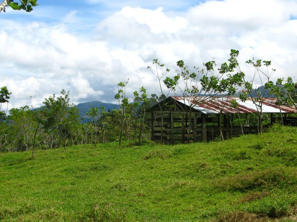 View of the farm