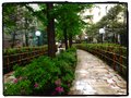 Garden path walk Tokyo 