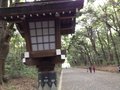 Yoyogi Park, on the way to Meiji-jingu Shrine