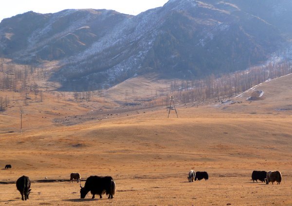 Terelj National Park - Mongolia