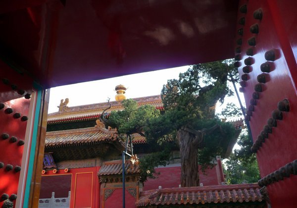 The Forbidden City - Beijing - China