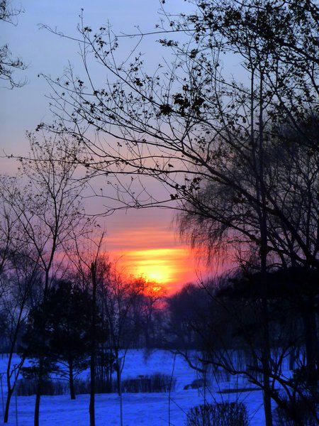 Harbin Sunset