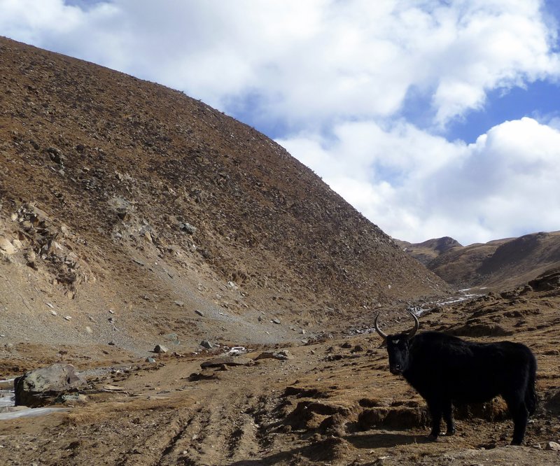 Tibetan Rural Landscape