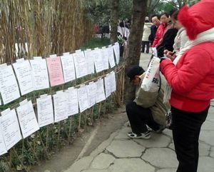Husband/ Wife Adverts - People's Park (Chengdu)