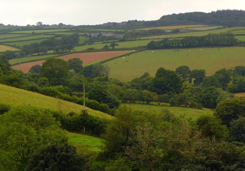 Cornish Countryside