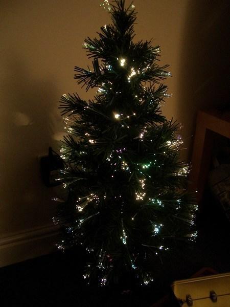 Our teenie weenie Christmas tree