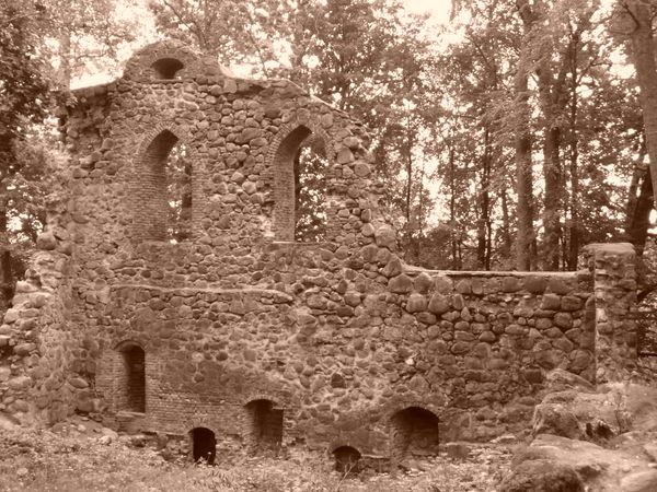 Krimulda Castle ruin