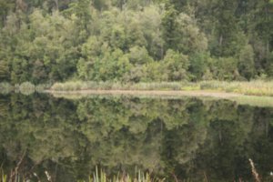 Lake Matheson - Mirror Lake