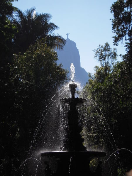 Botanical Garden - Rio