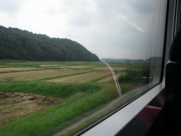 Train to Tokyo