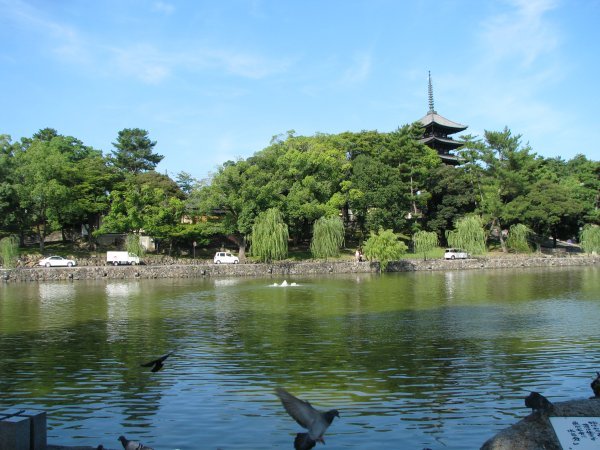 Sarusawa Pond with Pagoda in the background