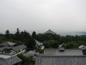 View of Nara city