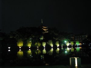 Sarusara Pond at night