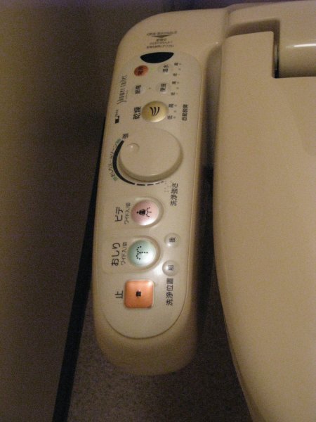 Computerized Toilet