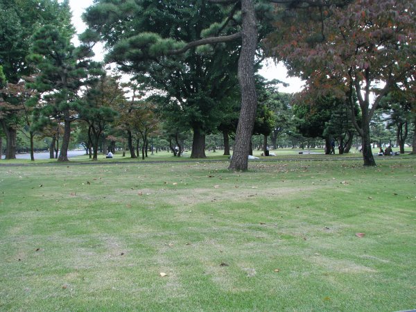 Very large park on the outer portion