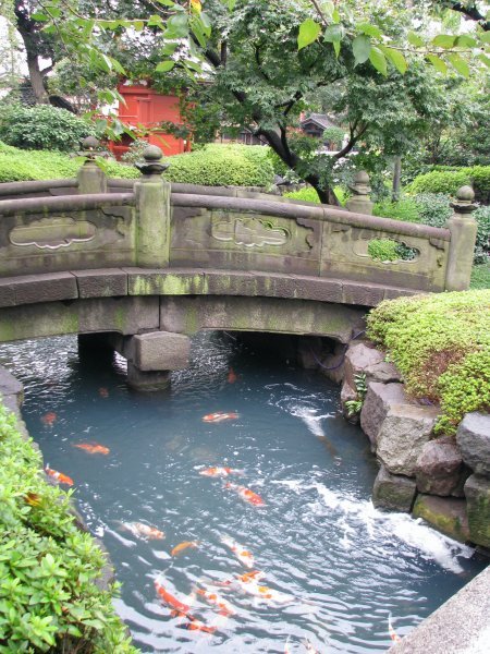 Garden area of Senso-ji