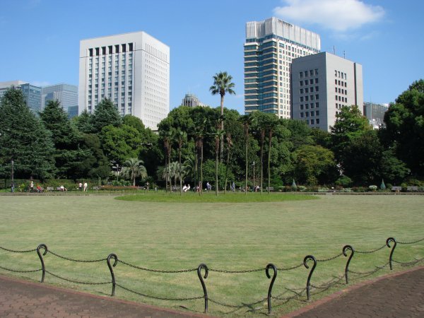View of the park