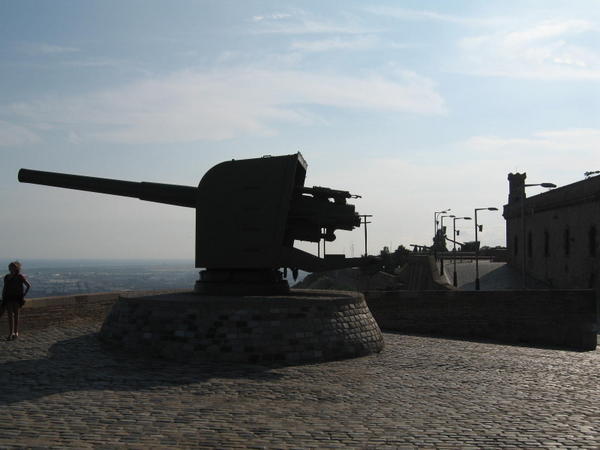 Canon at the castle