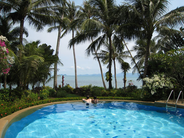 The Pool at Coconut Tropicana