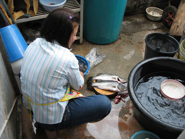 Preparing the Fish