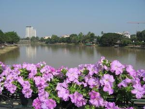 Ping River in Chiang Mai