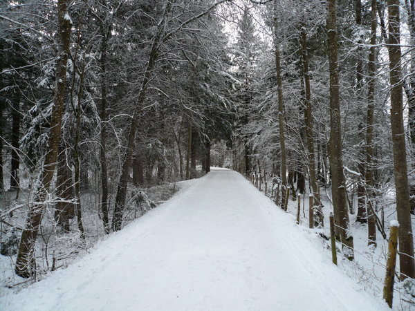 Path to Neuschwanstein