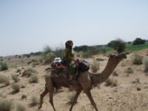 Jaisalmer/ Northwest India