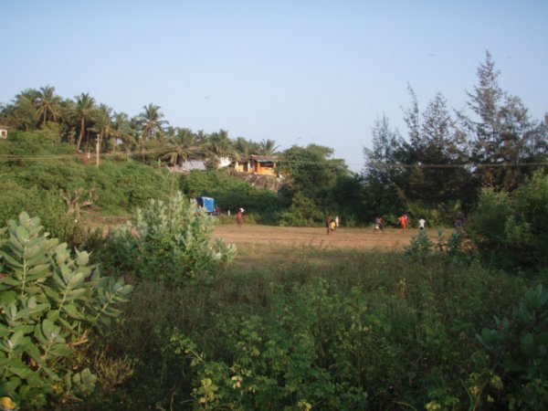 Palolem/ Goa, South-West India