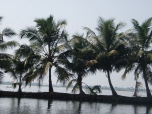 Leaving Alleppey/ Alapuzzha 