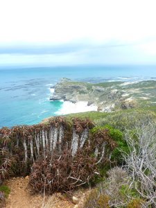 Cape Point 2