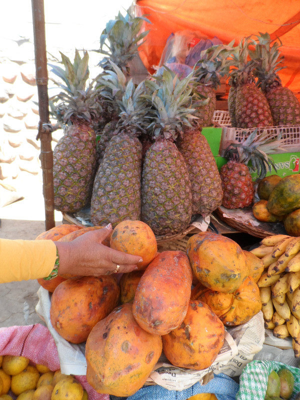 Gigantische Ananas und Papayas