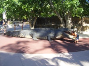 Crocs are big in Australia
