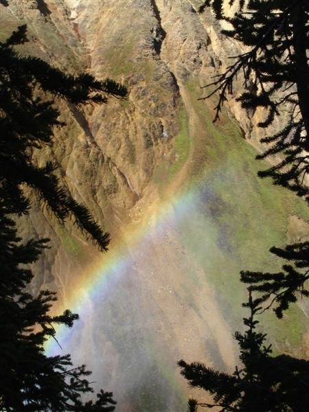 Nice Rainbow from Lower Falls