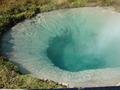 Bluebell Pool