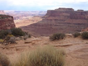 View Near Canyonlands Visitor Centre