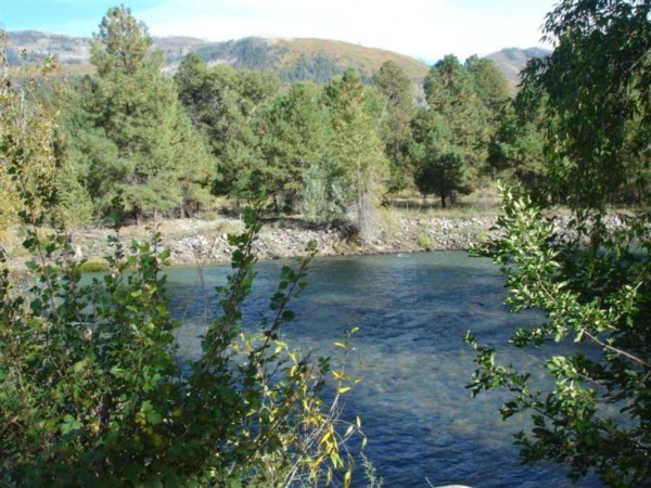 Animas River from Campsite