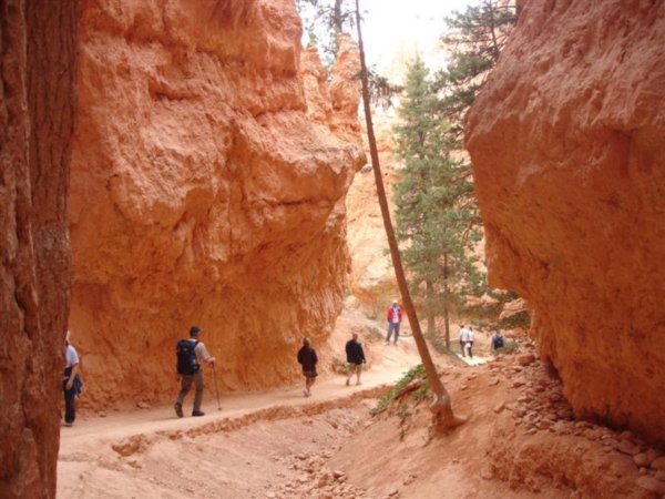 Navajo Loop Hike