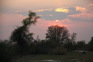 Sunset in Moremi
