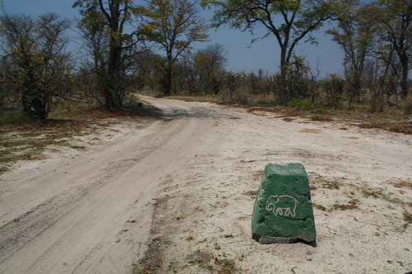 Typical Road in Moremi