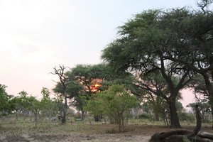 Sunset at Khwai Campsite