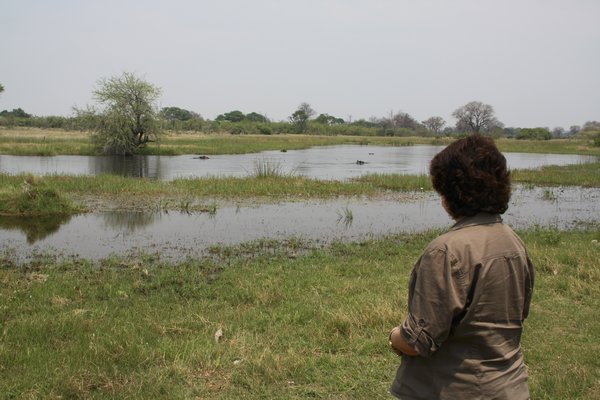 Looking at Hippo Pond
